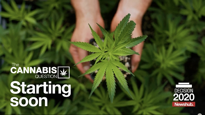 Screen Shot 2020-10-07 at 8.58.10 PM