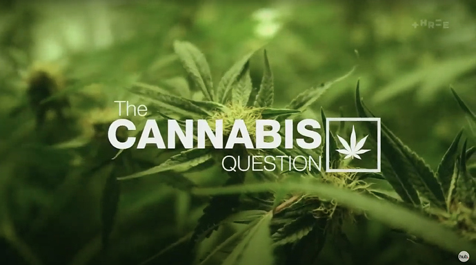 Screen Shot 2020-10-07 at 8.58.34 PM