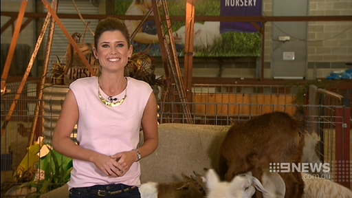 %23EasterShowEveWeather2015