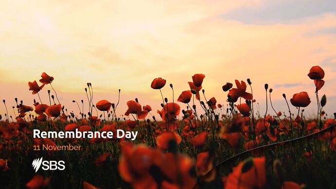 Small_Business_Secrets_20241111_1004.ts_003330721