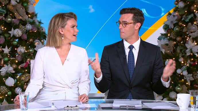 01-01_00-31-16_Seven Syd_Seven Syd.ts_014405458