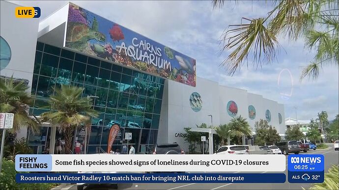 vlc-record-2025-09-19-06h49m13s-udp___127.0.0.1_5000-.ts_000313360