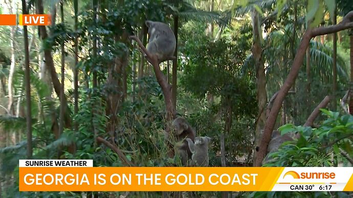 12-30_00-32-49_Seven Syd_Seven Syd.ts_017088849