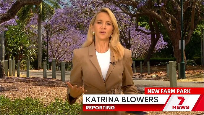 Seven's_National_News_At_Noon_20251017_1237.ts_013487583