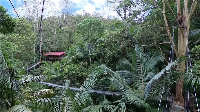 Celebrity23.mkv_000908310