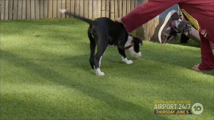 10_News_First_20250524_1801.ts_002899856