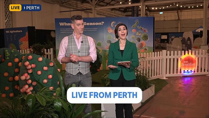 vlc-record-2025-10-01-00h44m22s-udp___127.0.0.1_5000-.ts_018984156