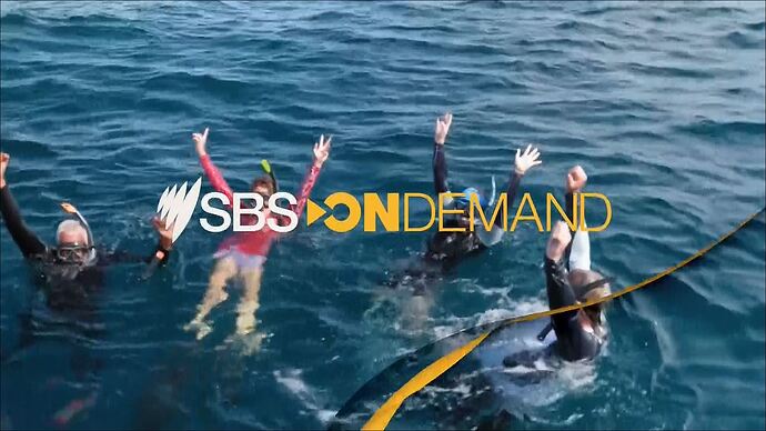 10-21_15-00-12_SBS ONE HD (eng)_Bollywed.ts_000010482