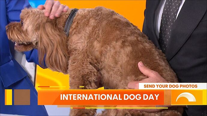 7hd_20240826_0143.ts_013690588