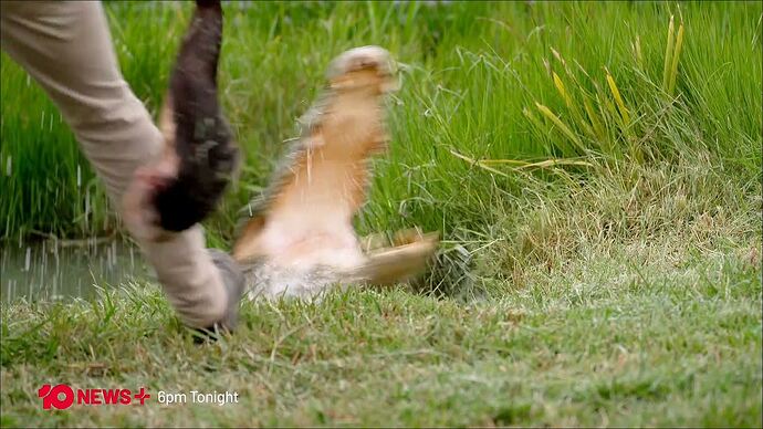 Start_Me_Up_20250706_0952.ts_016827791