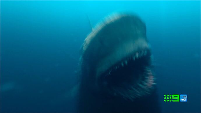 10-31_07-50-25_9 Syd_9 Syd.ts_017345896