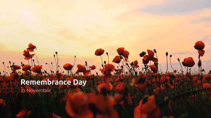 Small_Business_Secrets_20241111_1004.ts_003327965