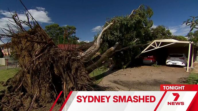 11-26_16-56-36_Seven Sydney_Seven Sydney.ts_000189652