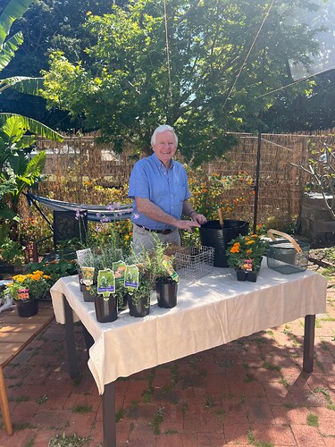 Graham shares how to grow herbs in the kitchen and small spaces.