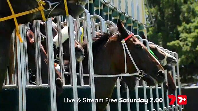 01-06_19-43-56_Seven Sydney_Seven Sydney.ts_014017060