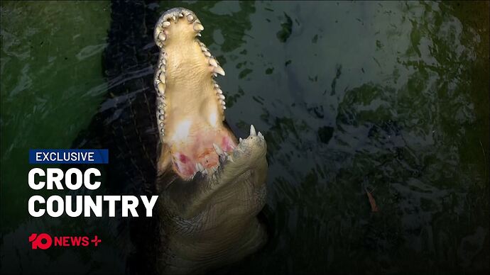 10_News_20250706_1746.ts_000650680