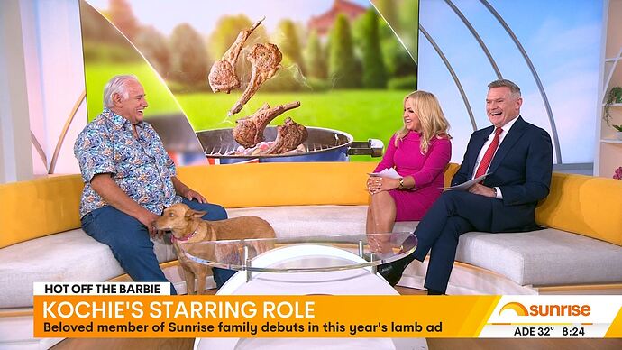 01-08_00-40-35_Seven Syd_Seven Syd.ts_024261376