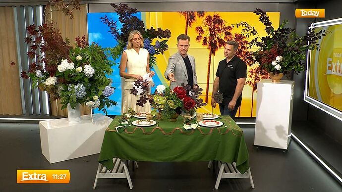 11-29_07-35-25_Channel 9 Sydney_Channel 9 Sydney.ts_010344905