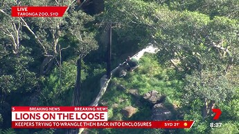 vlcsnap-2022-11-02-07h38m41s949