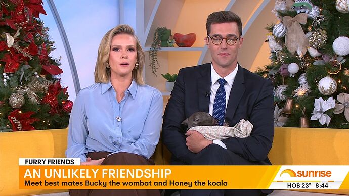 12-30_07-36-44_Seven Syd_Seven Syd.ts_000474803