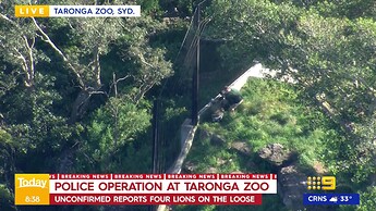 vlcsnap-2022-11-02-07h38m43s165