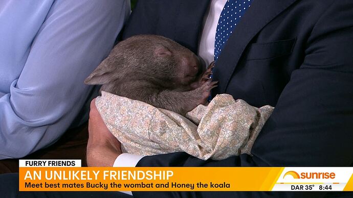 12-30_07-36-44_Seven Syd_Seven Syd.ts_000465598