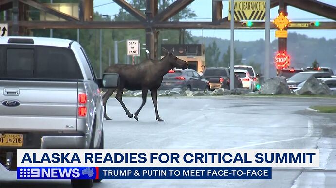 08-15_16-00-02_New_New.ts_000174906