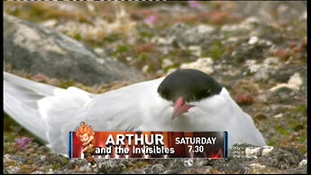 ZampakidCap-2026-02-14-22h34m07s569