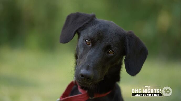 Deal_Or_No_Deal_20250312_1801.ts_008661619