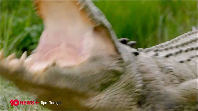 Start_Me_Up_20250706_0952.ts_016828265