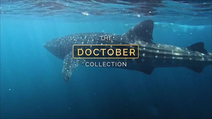 10-21_15-00-12_SBS ONE HD (eng)_Bollywed.ts_000007121