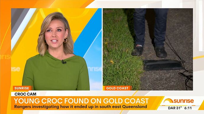 St._Denis_Medical_20250331_2350.ts_022824244