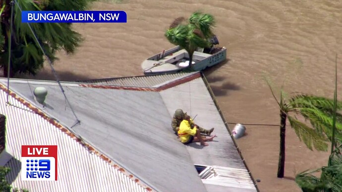 vlcsnap-2022-03-01-11h33m14s817