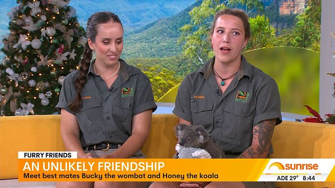 12-30_07-36-44_Seven Syd_Seven Syd.ts_000519800