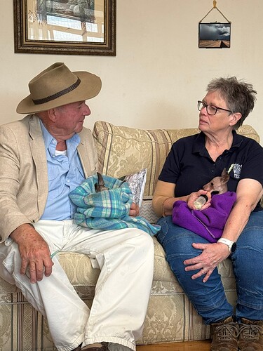 Dr Harry saves spring's Orphaned Natives 007