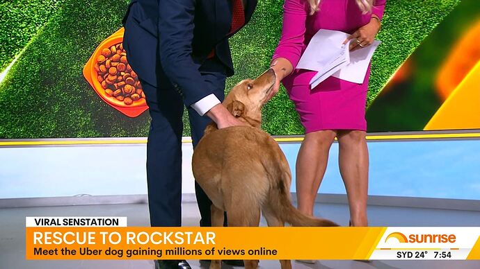 01-08_00-40-35_Seven Syd_Seven Syd.ts_022491651