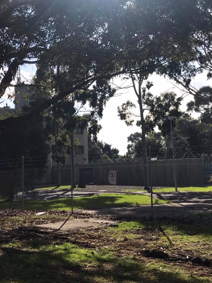 35298072_10215014269303118_2704318117747621888_n