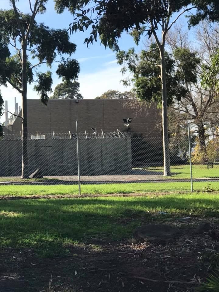 35428381_10215014269023111_5478556275849560064_n