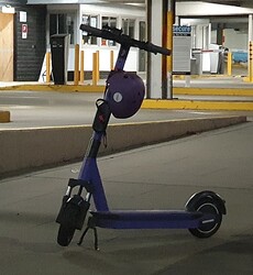 PhotoGrid_Plus_1617697237661