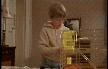 ZampakidCap-2021-04-10-21h40m40s881