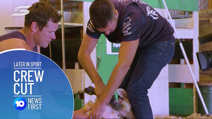 vlcsnap-2018-11-01-17h38m49s299