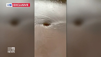 20200213172303.mp4_001190020