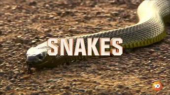 Im Cel 2021.ts_000014560