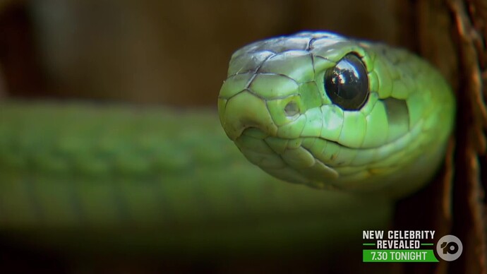 vlcsnap-2021-01-04-12h02m00s600