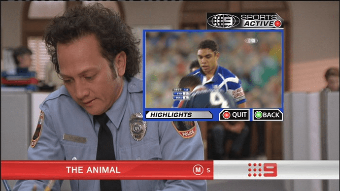 NineAnimalStuffUp169