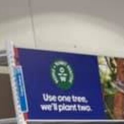 USER_SCOPED_TEMP_DATA_orca-image-1557562617