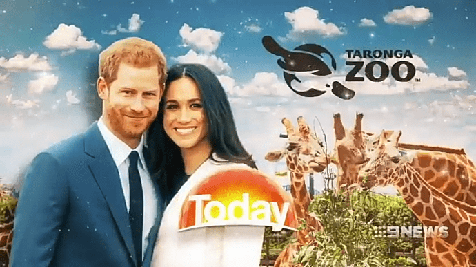 Screenshot_2018-10-15-23-00-39