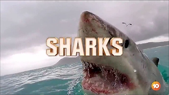 Im Cel 2021.ts_000018760