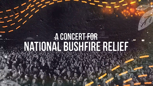 tvcaps-20-firefight-foxtel-2