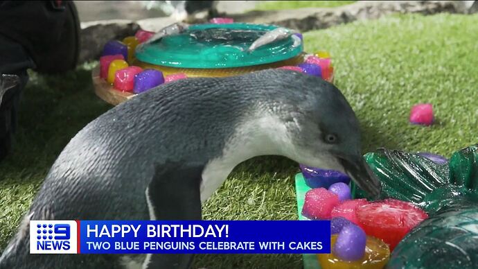 Nine News 20210625-0730.mpg_002064618